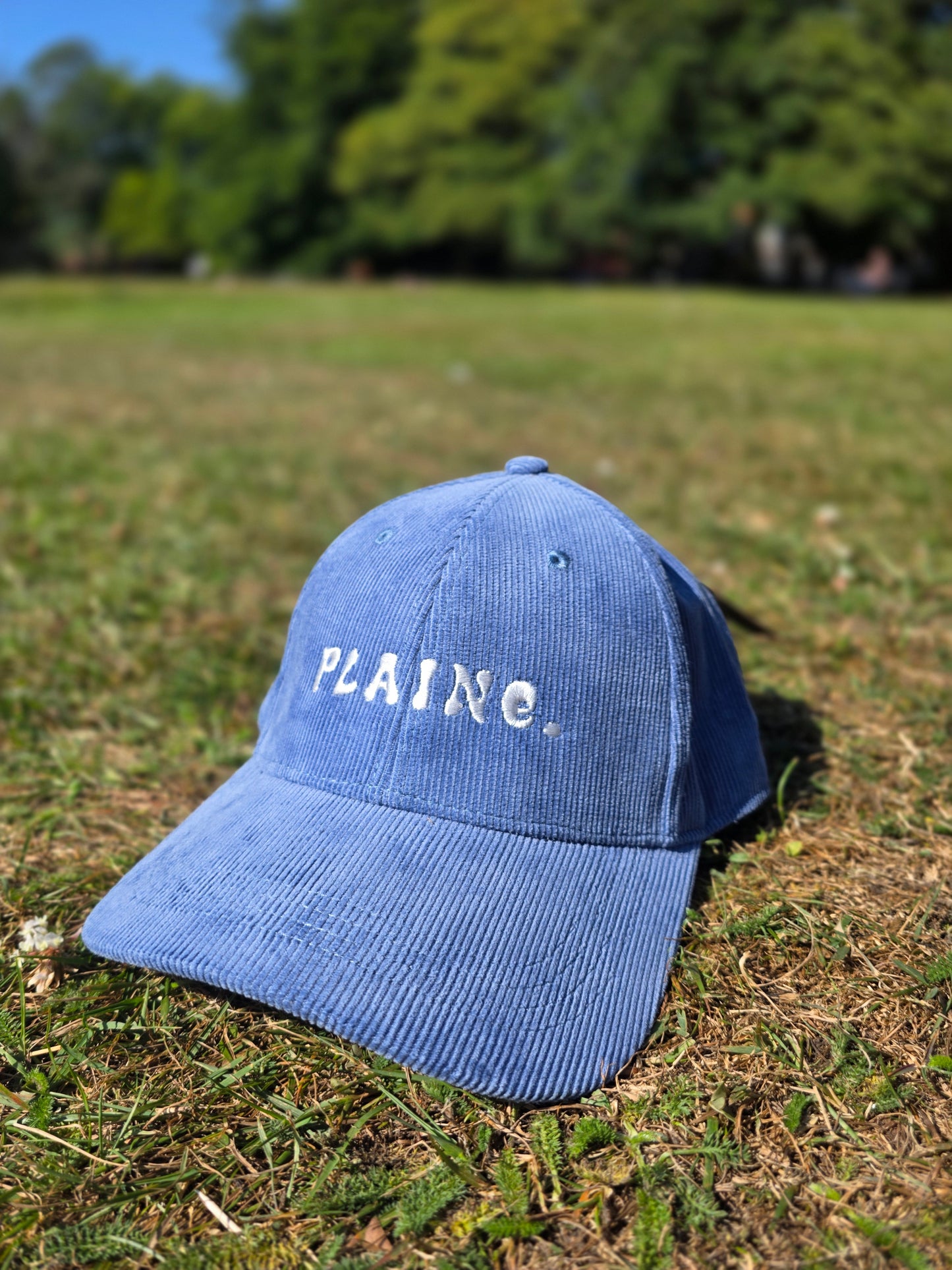 Corduroy Plaine. Hat - Slate Blue