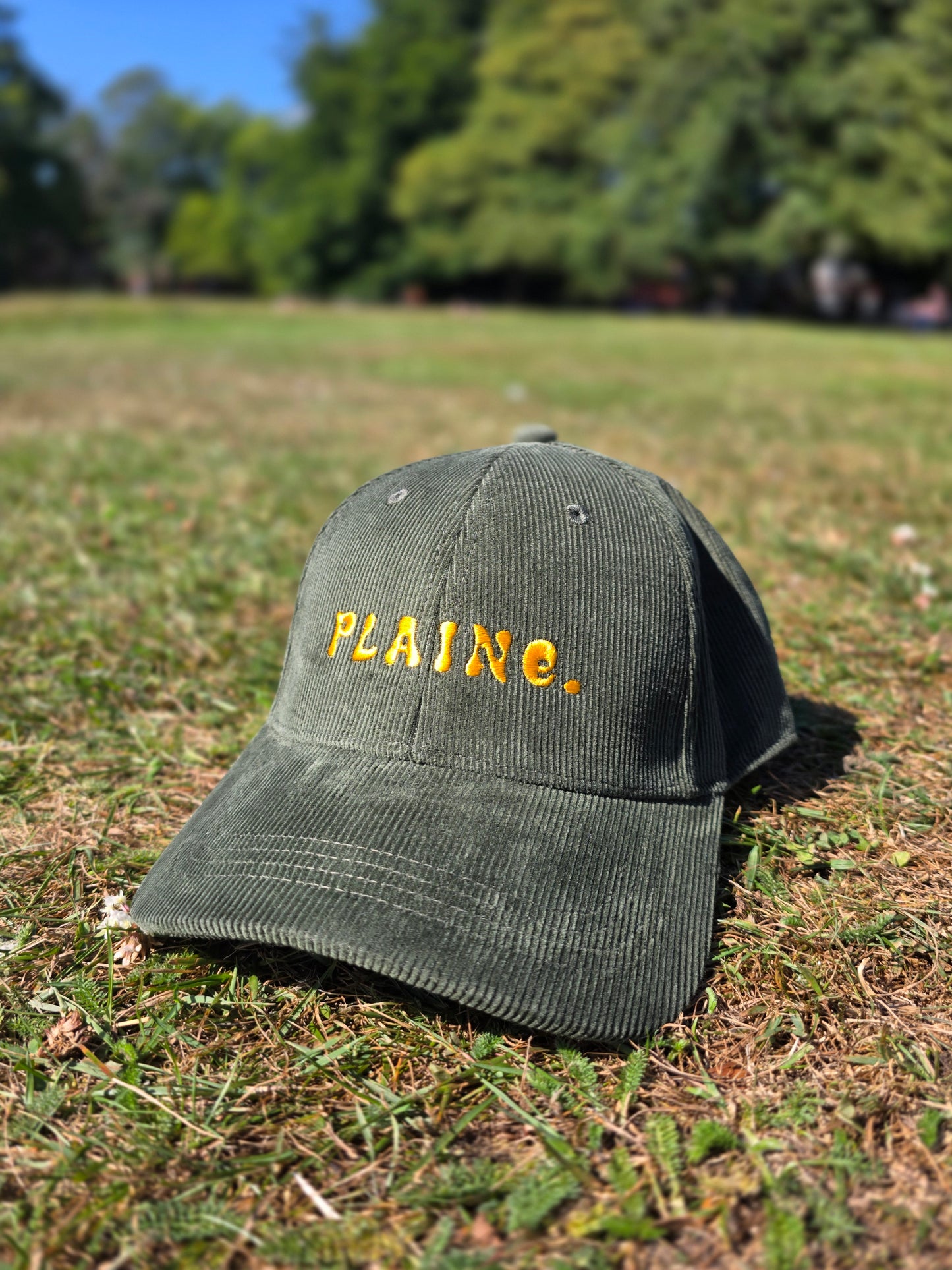 Corduroy Plaine. Hat - Forest Night