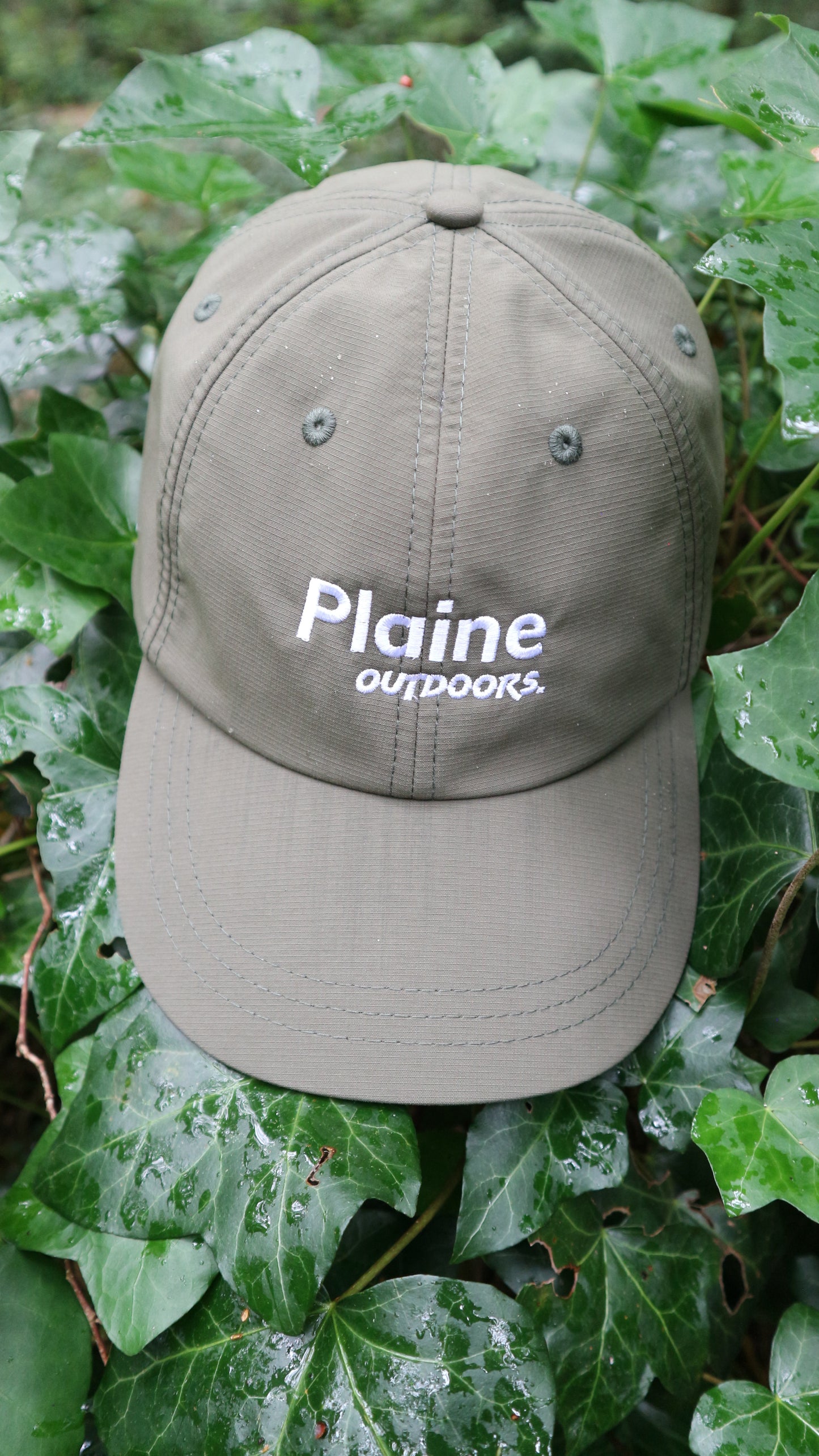 Plaine Moss