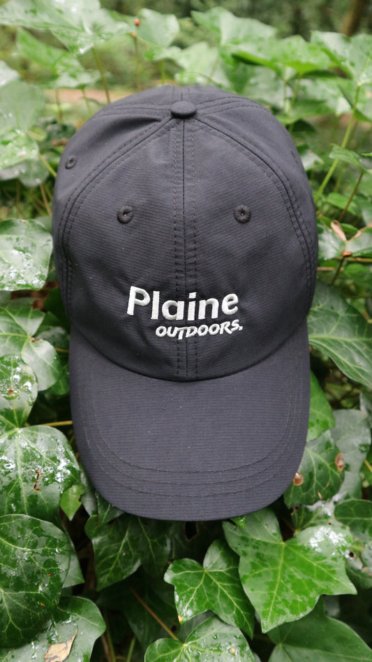 Plaine Coal